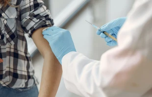 Imagen referencial | Cru00e9dito: Pexels 