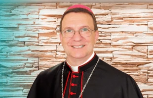 Mons. Valdemir Ferreira dos Santos. Cru00e9dito: CNBB 