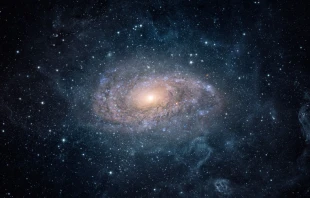 Foto referencial. Cru00e9dito: Shutterstock 