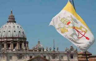 Bandera del Vaticano. Cru00e9dito: Bohumil Petrik (ACI) 