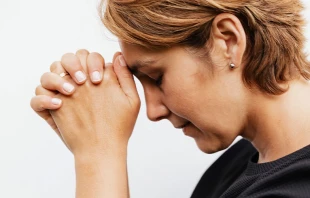 Imagen referencial | Cru00e9dito: Pexels 