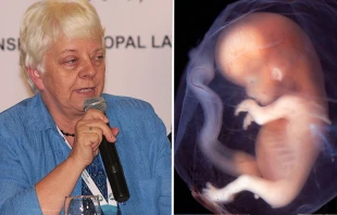 Vicky Thorn del Proyecto Raquel / Fotos: Eduardo Berdejo (ACI Prensa) - Flickr de Lunar Caustic (CC-BY-SA-2.0) 