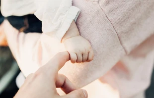 Imagen referencial. Cru00e9dito: Unsplash. 