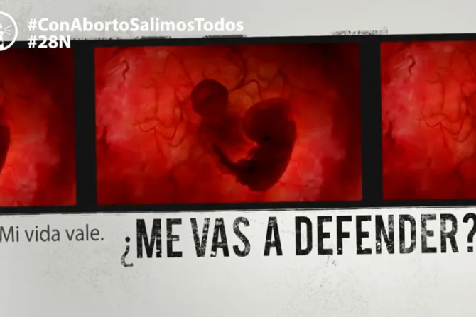 VIDEO: Legisladores argentinos envían mensajes en defensa de los niños por nacer