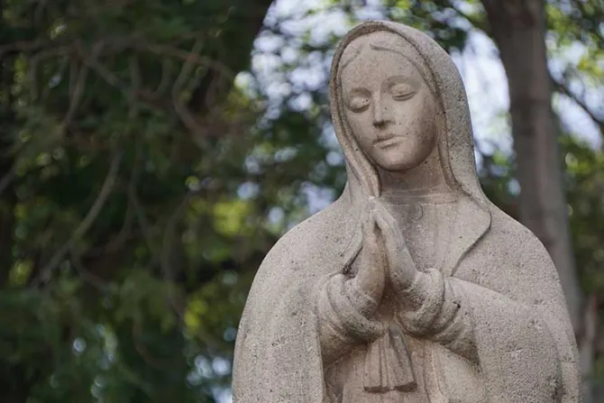 Arzobispo pide encomendar el Sínodo de los jóvenes a la Virgen María