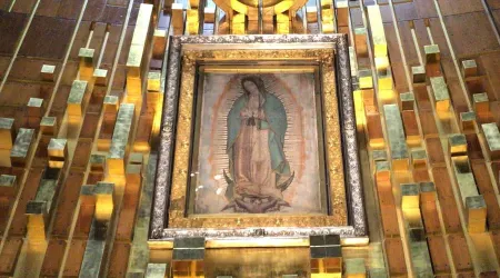 Estados Unidos: Virgen de Guadalupe enseña a reparar el pecado del racismo, dice Obispo