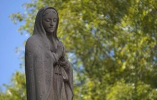 Imagen referencial. Cru00e9dito: David Ramos / ACI Prensa. 