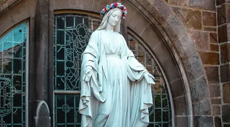 Imagen de la Virgen de la Medalla Milagrosa fue descabezada en Diócesis Argentina