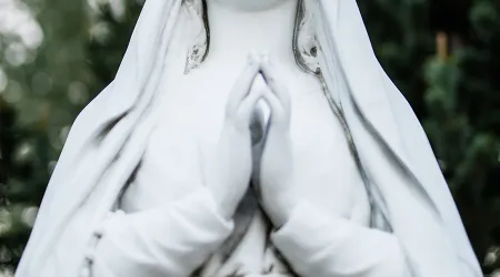 Esta imagen de la Virgen María peregrina en defensa de la vida desde hace 7 años