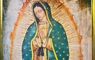 Virgen de Guadalupe. Crédito: Shutterstock 