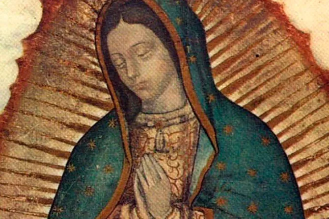 México: Miles marchan en desagravio por blasfemia contra la Virgen de Guadalupe [VIDEO]