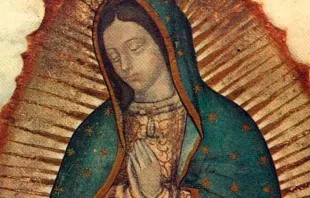 Virgen de Guadalupe null