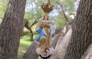 Imagen de la Virgen de los 33 / Crédito: Captura de video Iglesia Montevideo 