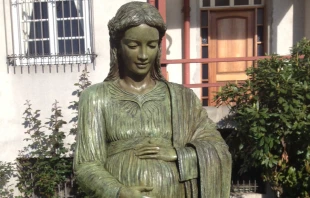 Virgen del Niu00f1o Por Nacer / Foto: P. Pablo Fernu00e1ndez Martos 