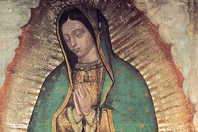 Cardenal reza a Virgen de Guadalupe por muertos de tiroteo en hospital de Chicago