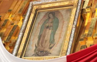 Virgen de Guadalupe. Crédito: Eduardo Berdejo (ACI) 