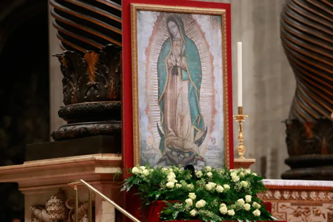 Misa de Guadalupe: Hito en el camino que llevará al Papa a México, dice autoridad vaticana