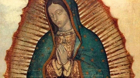 FOTOS y VIDEO: Destruyen imagen de Virgen de Guadalupe en Catedral mexicana