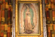 Arzobispo de Los Ángeles presentará a la Virgen de Guadalupe oraciones de inmigrantes