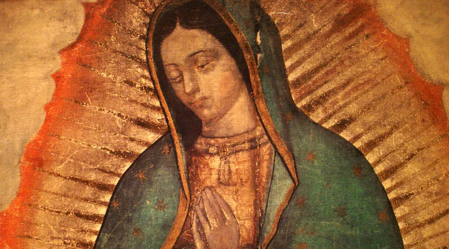 Imagen de la Virgen de Guadalupe. Foto: Sacred Heart Cathedral Knoxville (CC-BY-NC-2.0)?w=200&h=150