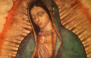 Virgen de Guadalupe / Foto: Sacred Heart Cathedral Knoxville (CC-BY-NC-2.0) 