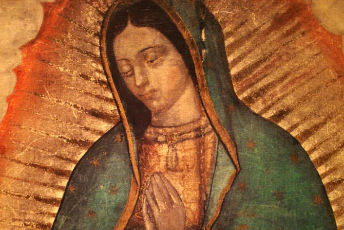 Harán imagen de Virgen de Guadalupe con fotos de familias para el Papa en México