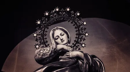 Pidamos “atrevidamente” aquello que necesitamos a la Virgen María, anima Obispo