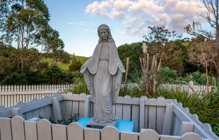 Virgen Maru00eda en la iglesia St Mary in Motuti. Cru00e9dito: https://www.tearaamaria.nz/ 