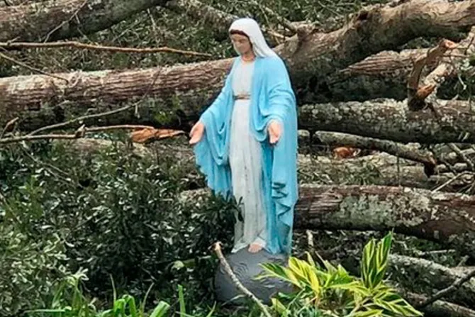 Imagen de la Virgen María queda intacta luego del paso del huracán Ida