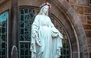 Imagen referencial. Cru00e9dito: Unsplash. 