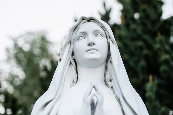 Exigen a familia retirar diminuta imagen de la Virgen por violar “políticas de vecindario”
