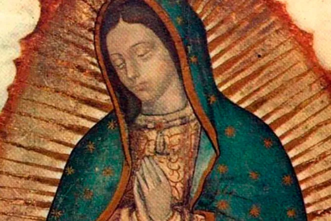Santa María de Guadalupe es luz y guía en la tormenta, asegura Cardenal mexicano