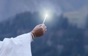 Cru00e9dito: Bosco Films. 