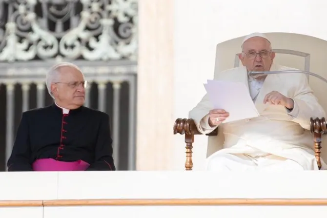 Catequesis del Papa Francisco sobre el testimonio de los mártires