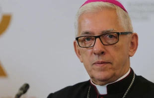 Mons. Wiktor Skworc / Cru00e9dito: Flickr de EpiskopatNews (CC BY-NC-SA 2.0) 