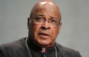 Cardenal Wilfried Napier. Foto Daniel Ibu00e1u00f1ez / ACI Prensa 