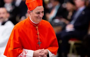 El Cardenal Matteo Zuppi durante el consistorio de agosto 2022. Crédito: Daniel Ibáñez/ACI Prensa.