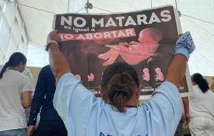 Manifestación por la vida en Guanajuato. Crédito: Actívate