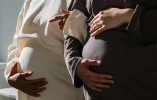 Imagen referencial. Crédito: Cottonbro Studio