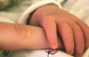 Imagen referencial. Cru00e9dito: Unsplash. 