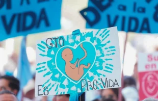 Manifestación por la vida en Guanajuato. Crédito: Frente Nacional x la Familia