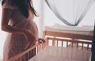 Imagen referencial Crédito: Ömürden Cengiz / Unsplash