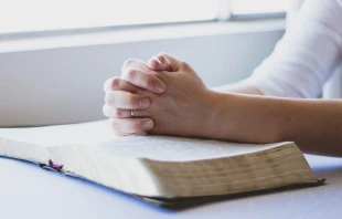 Foto referencial. Cru00e9dito: Pixabay 