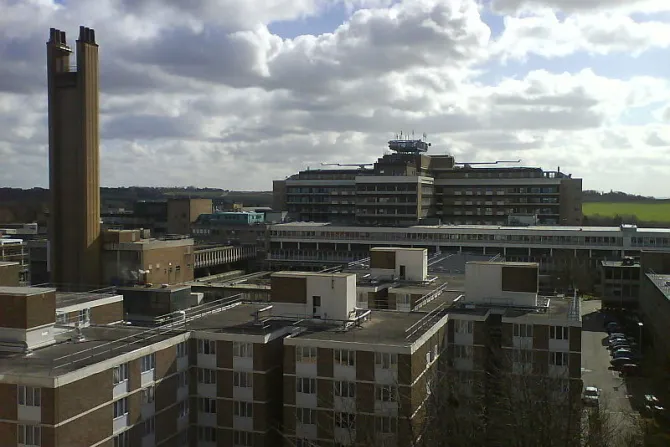 Hospitales británicos queman cuerpos de bebés abortados como basura para calentar instalaciones