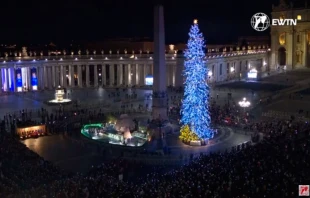 El árbol y el pesebre de Navidad 2024 en el Vaticano Crédito: ACI Prensa.