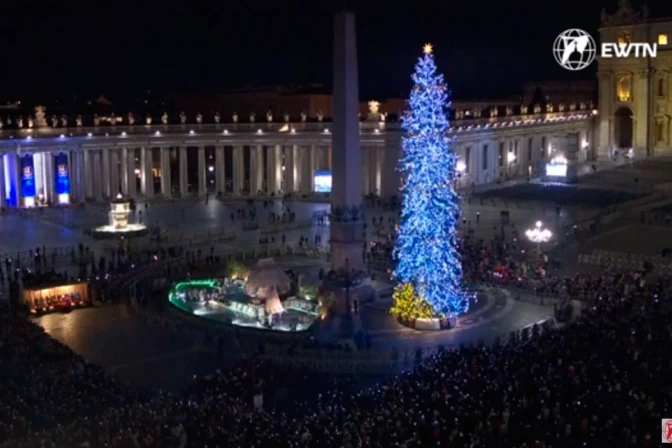 El árbol y el pesebre de Navidad 2024 en el Vaticano.