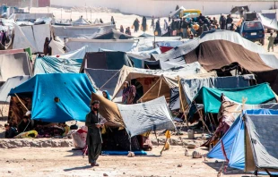 Imagen referencial. Crédito: Trent Inness / Shutterstock.com