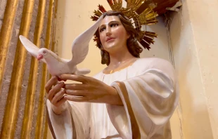 Imagen de “Cristo del Amor”. Crédito: EWTN Noticias