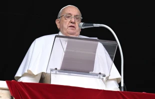 El Papa Francisco en la oración del Ángelus este 26 de enero Crédito: Vatican Media