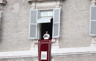 El Papa en el u00e1ngelus. Foto: Alexey Gotovsky 